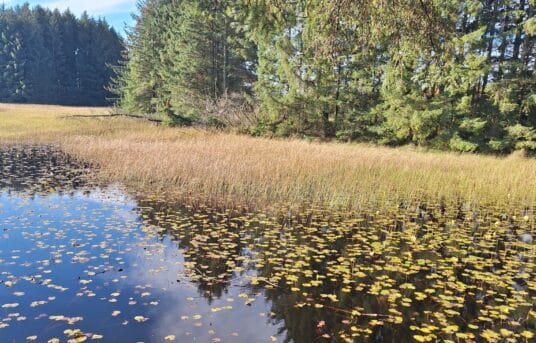 Velkommen til høstfest fredag 7. november kl. 19.00