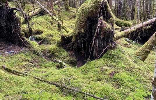 Tur til Husfjellet