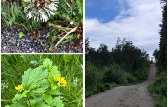 Nydelig mandagstur