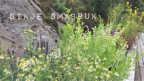 Medlemsmøte med besøk frå Sikje Småbruk