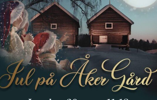 Juletur til Åker gård – Hamar