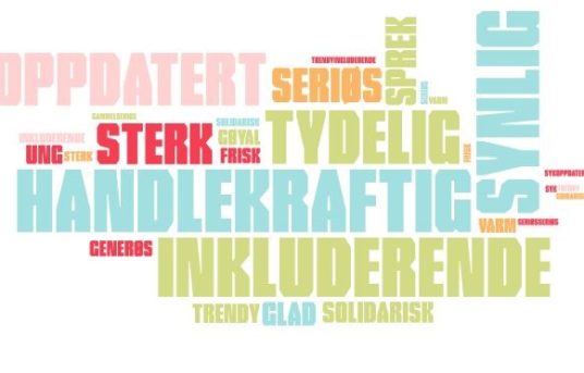 Tillitsvalgtkonferanse for Viken Akershus 21. november 2020