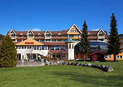 Fylkesårsmøte 2024