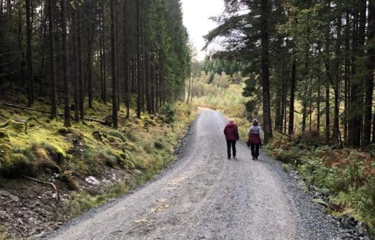 Lett tur i Hesteløypen