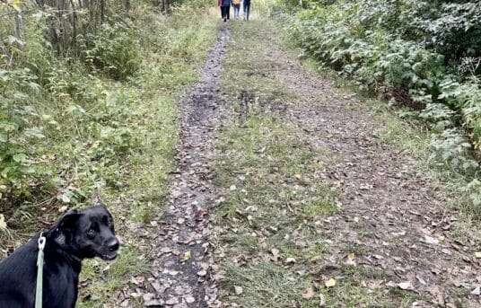 🌿 Mandagstur🚶🏼‍♀️🌿