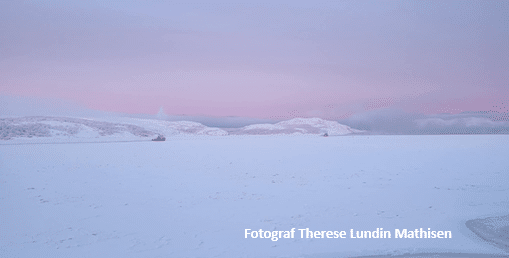 Kurs i opplæring i styrearbeid 📚