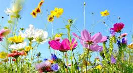 God sommer!